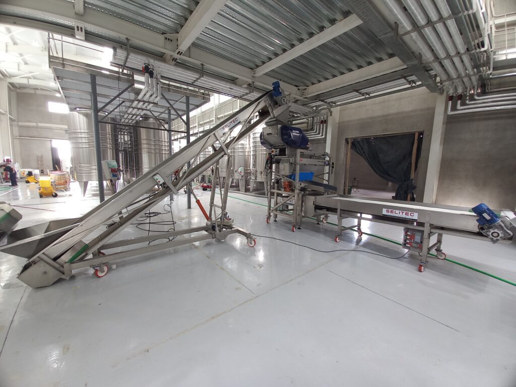 línea  de recepción de uva en bodegas 
