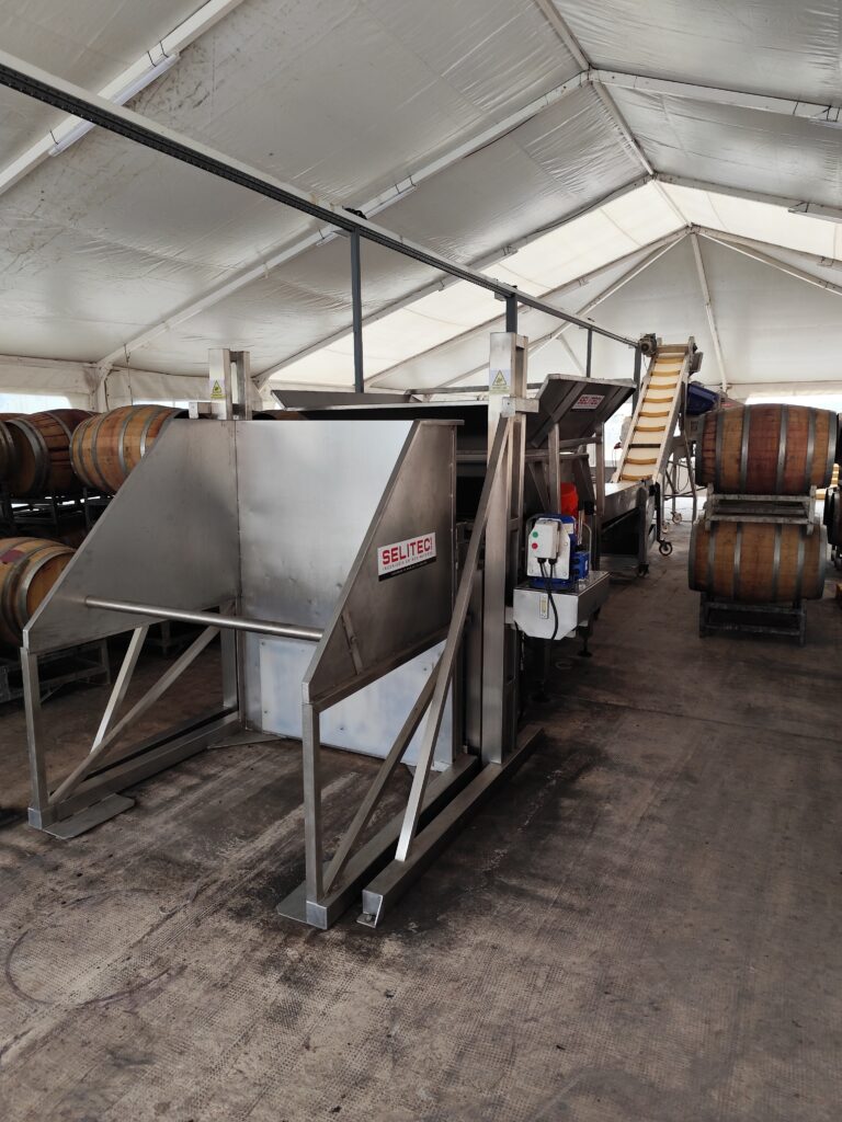 línea de producción uva en bodegas en Mendoza 